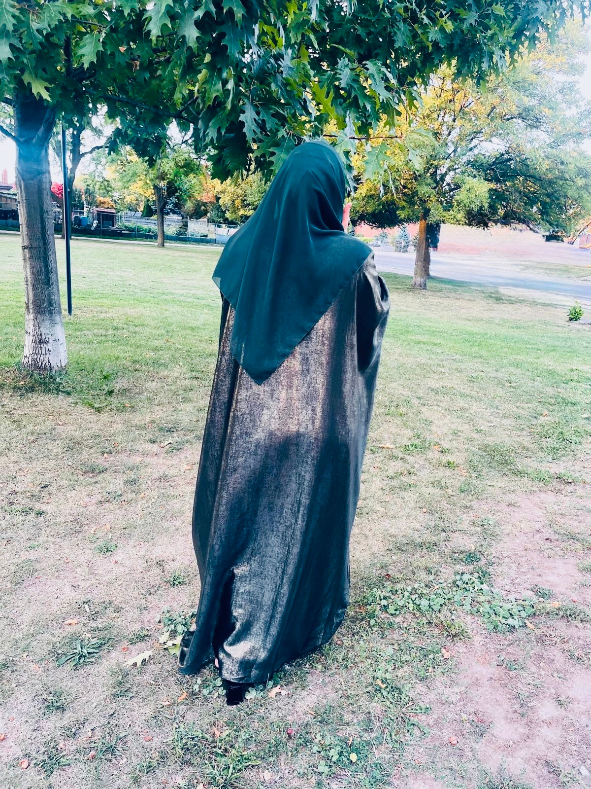 Shiny Butterfly Abaya