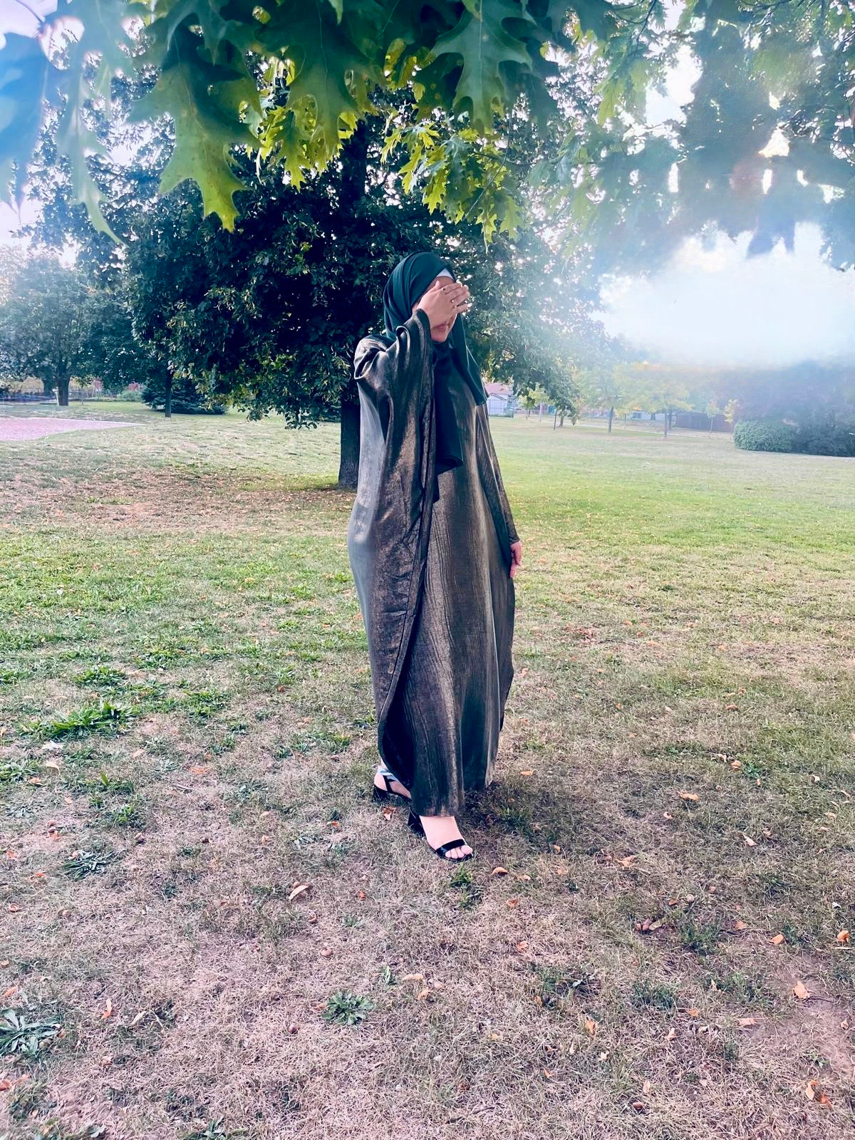 Shiny Butterfly Abaya