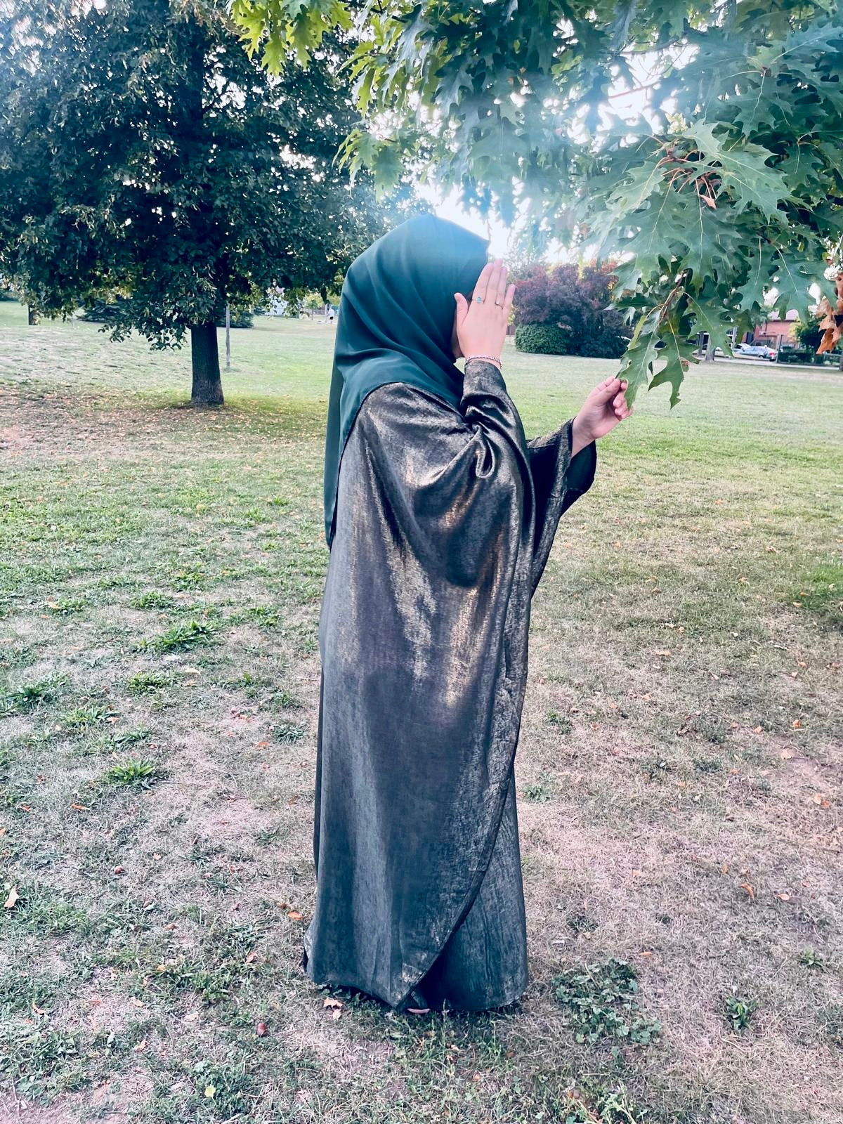 Shiny Butterfly Abaya